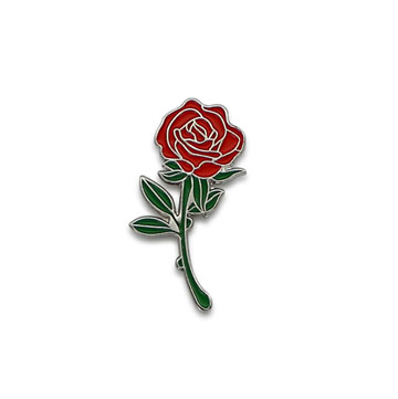 Brass/ Iron Soft Enamel Pins 2